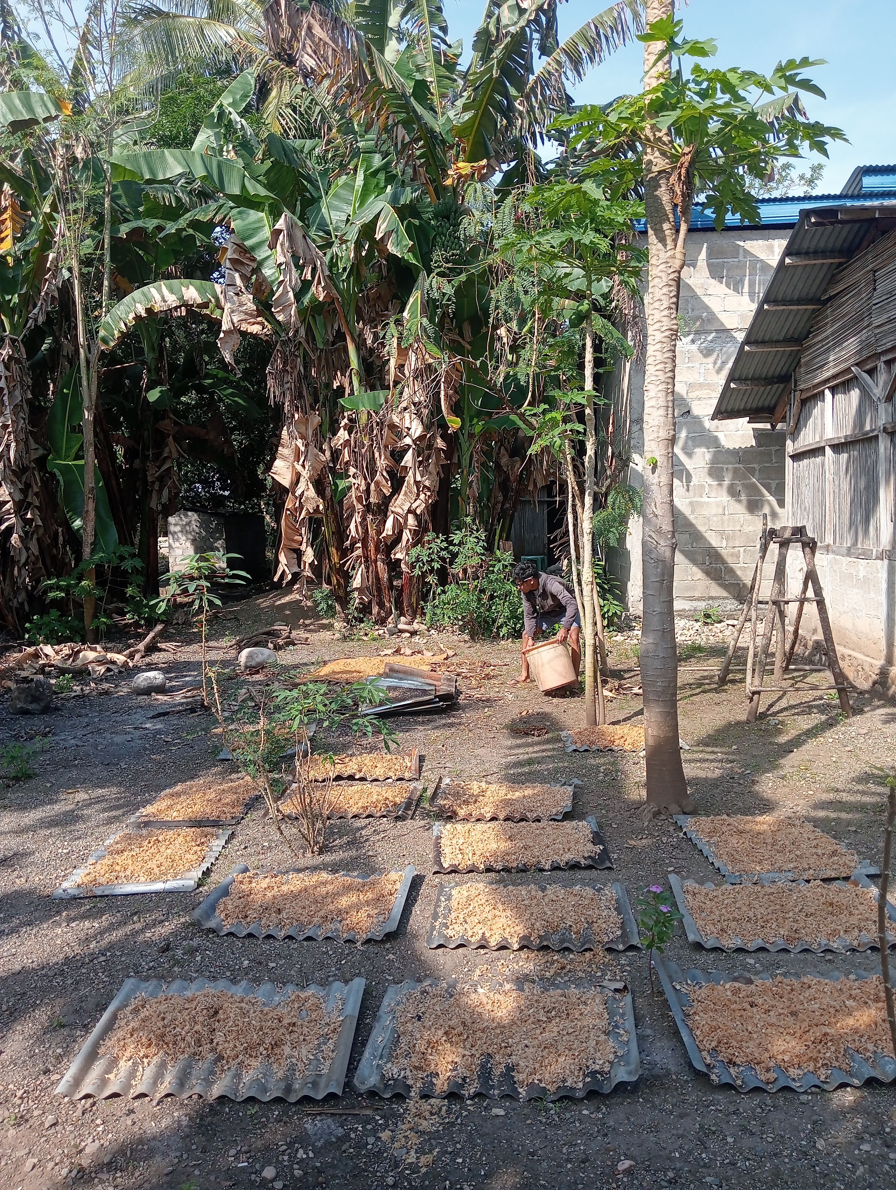 Foto Kegiatan